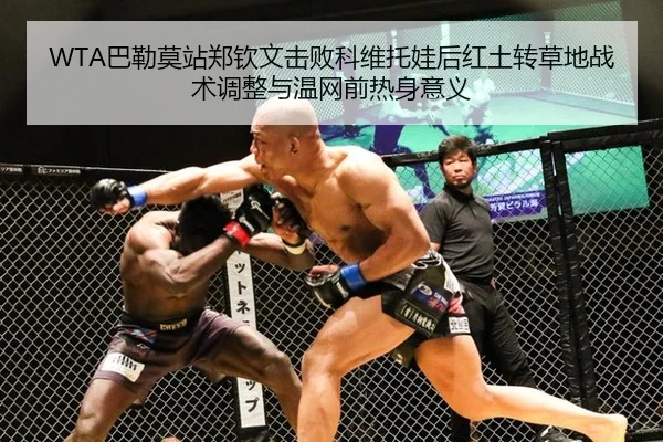 ba-lei-mo-zhan-zheng-qin-wen-ji-bai-ke-wei-tuo-wa-hou-hong-tu-zhuan-cao-di-zhan-shu-tiao-zheng-yu-wen-wang-qian-re-shen-2-870.jpg