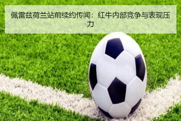 pei-lei-zi-he-lan-zhan-qian-xu-yue-chuan-wen-hong-niu-nei-bu-jing-zheng-yu-biao-xian-ya-li-2-337.jpg