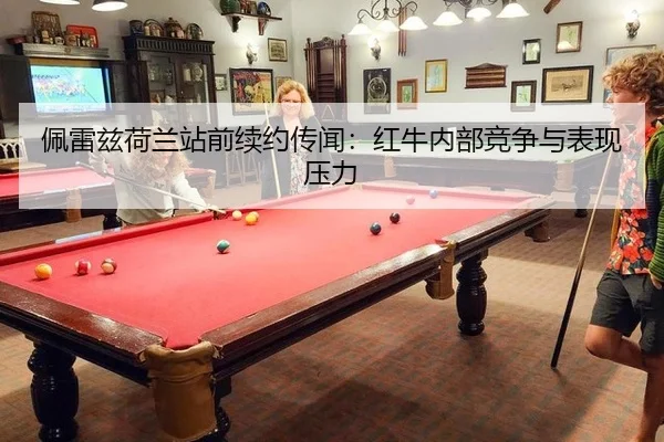 pei-lei-zi-he-lan-zhan-qian-xu-yue-chuan-wen-hong-niu-nei-bu-jing-zheng-yu-biao-xian-ya-li-3-627.jpg