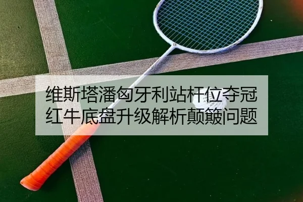 wei-si-ta-pan-xiong-ya-li-zhan-gan-wei-duo-guan-hong-niu-di-pan-sheng-ji-jie-xi-dian-bo-wen-ti-2-980.jpg